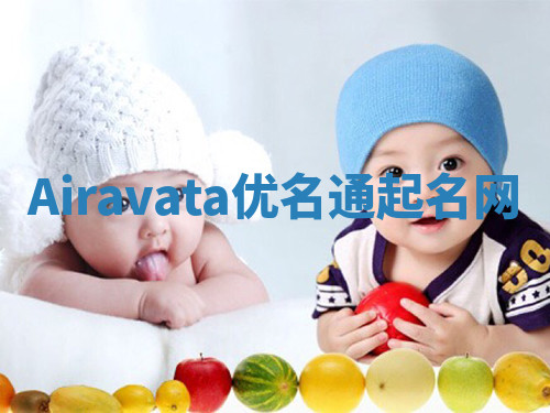 Airavata优名通起名网