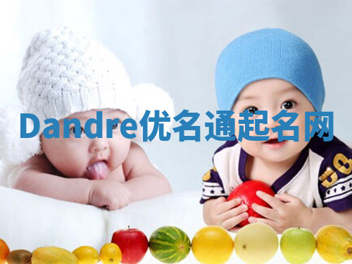 Dandre优名通起名网 Dandre优名通起名网
