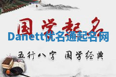 Danett优名通起名网