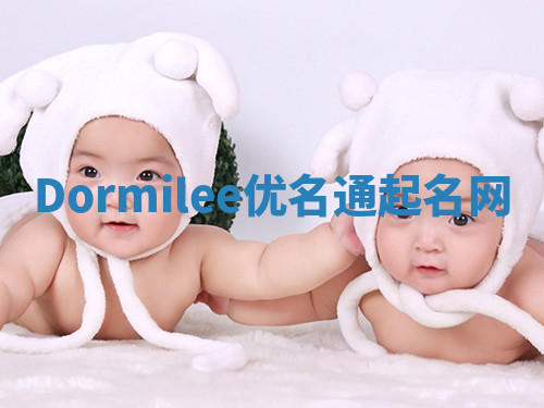 Dormilee优名通起名网