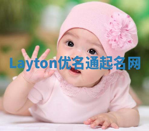 Layton优名通起名网 Layton优名通起名网