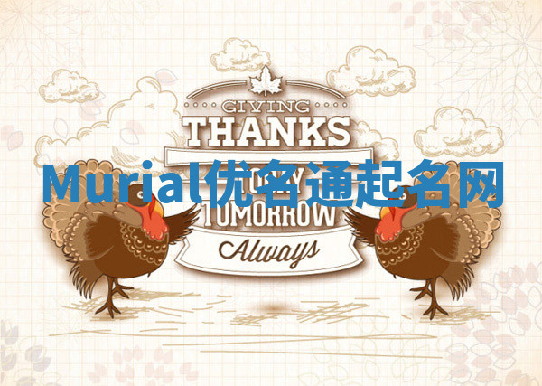 Murial优名通起名网