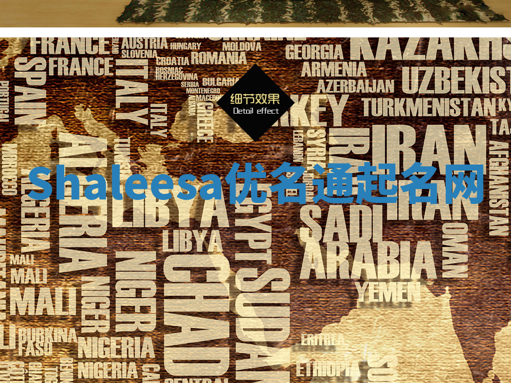 Shaleesa优名通起名网 Shaleesa优名通起名网