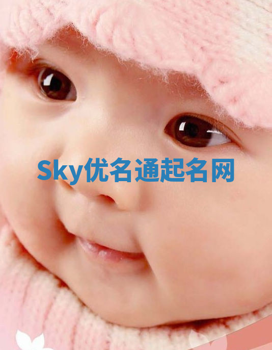 Sky优名通起名网