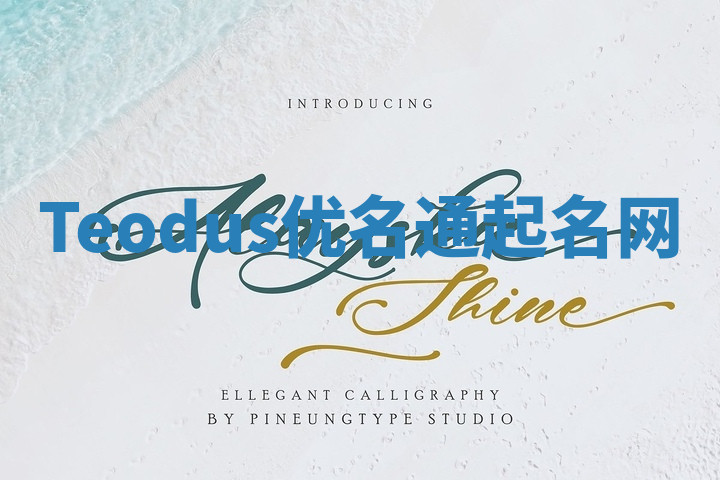 Teodus优名通起名网 Teodus优名通起名网