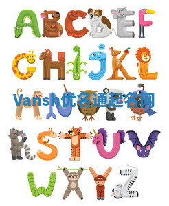 Vansh优名通起名网