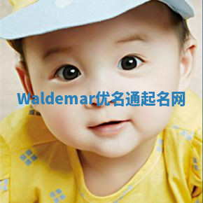 Waldemar优名通起名网